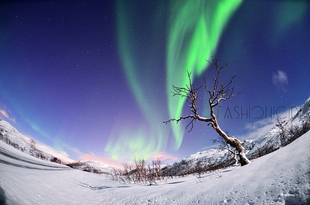 TRAVEL // Guide to seeing the Northern Lights in Tromsø!