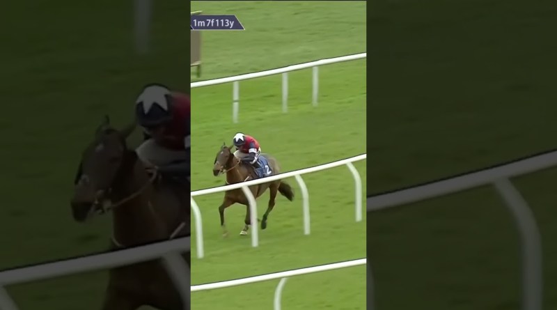 Dramatic finish to this race! #horse #horseracing #racingtv #sport #britishhorseracing