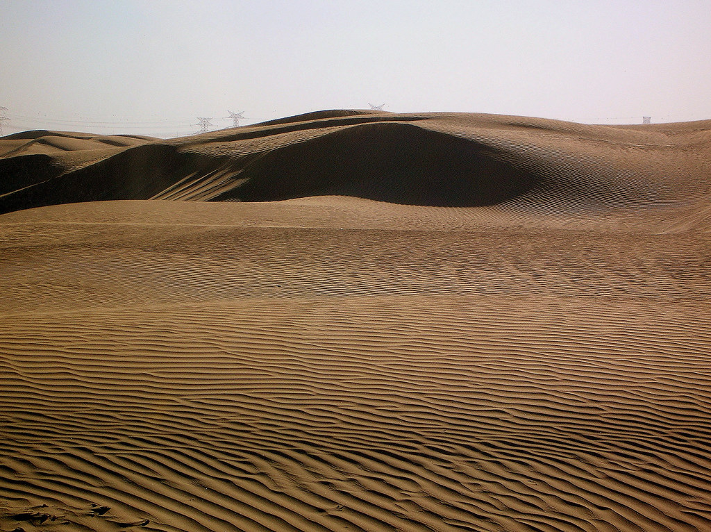 Best Desert Safari Operator In Dubai – Top Tours, Adventures, and Travel Guide