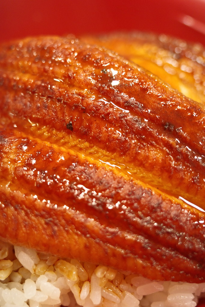 unagi comparison unagi comparison