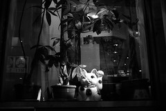 ChinatownMoment