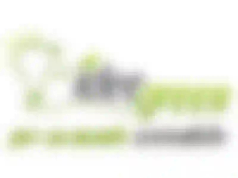 Ideegreen, Diventa Una Bcorp E Lancia Il Portale In Lingua Inglese 600_x_800_jpg