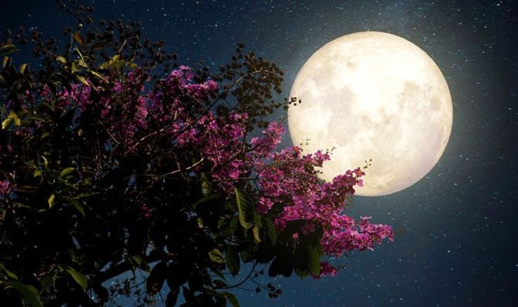 17.09.2021 · la pleine lune de septembre est la dernière de l'été. Pink Moon 2021 Quand Est La Pleine Lune En Avril 2021 Science Nouvelles Opera News