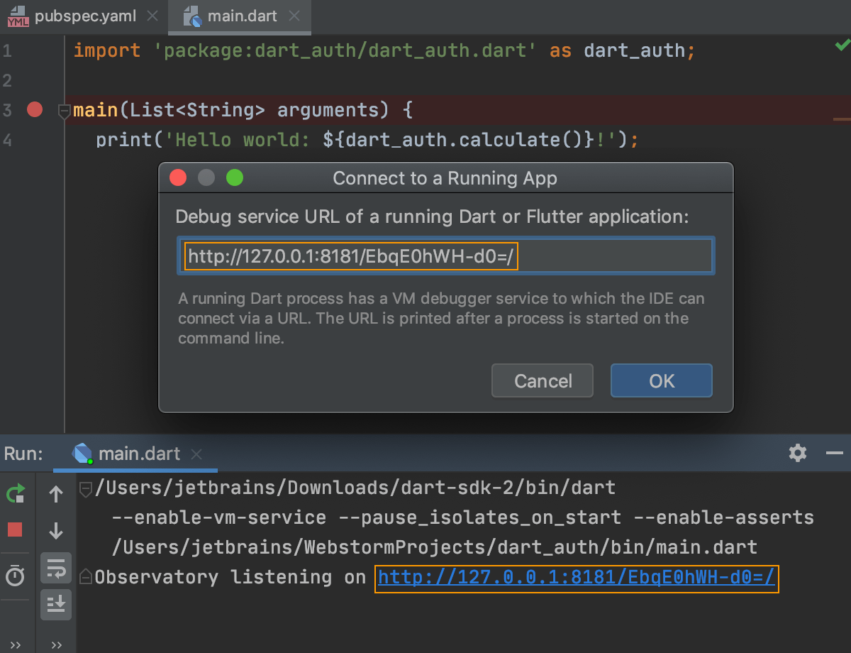 Dart Webstorm