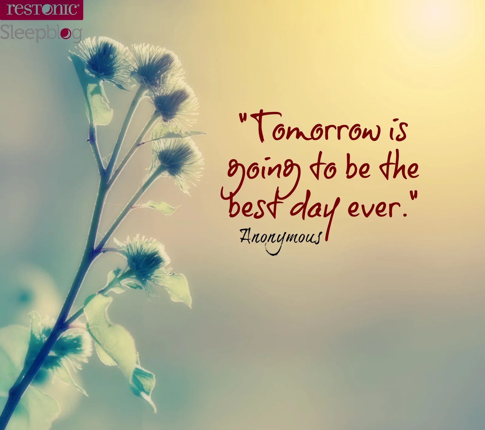 While it's sometimes difficult to know our purpose or the meaning of life, we must thrive and move forward. 10 Motivational Quotes for Better Sleep - Restonic