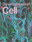 Developmental Cell