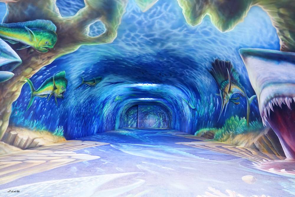 宜蘭蘇澳景點 祝大漁物產文創館 3D海底隧道 阿帕契直升機 珊瑚免費參觀 還有貝殼DIY