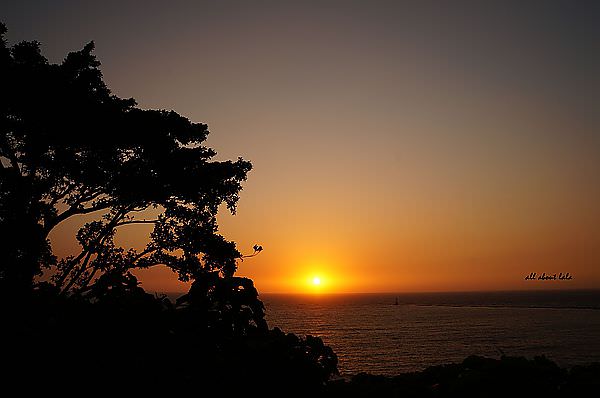 高雄 打狗城之看夕陽絕佳景點 打狗英國領事館官邸