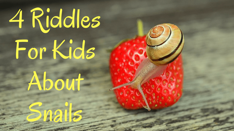 To solve this riddle, you need to take the first letter of each word to form a new work. Snail Riddles