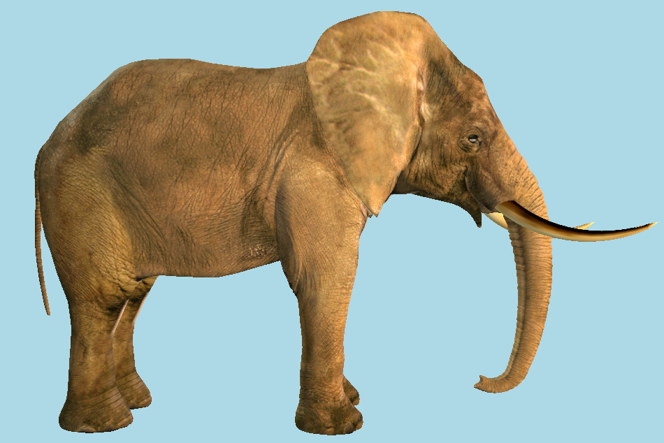 Download Elephant 3d Models For Free