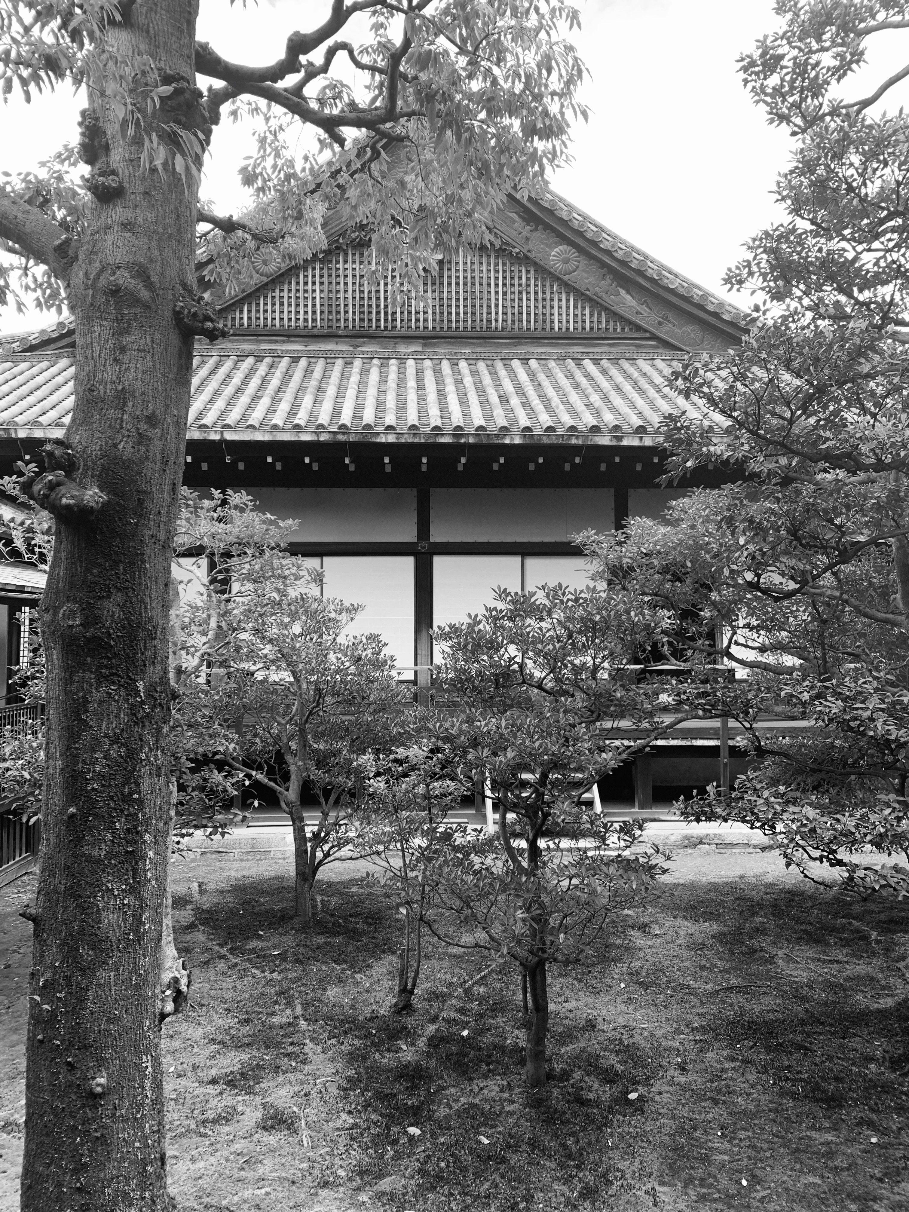 Kyoto & Confessions of a Geisha Stalker | Roaming Mom