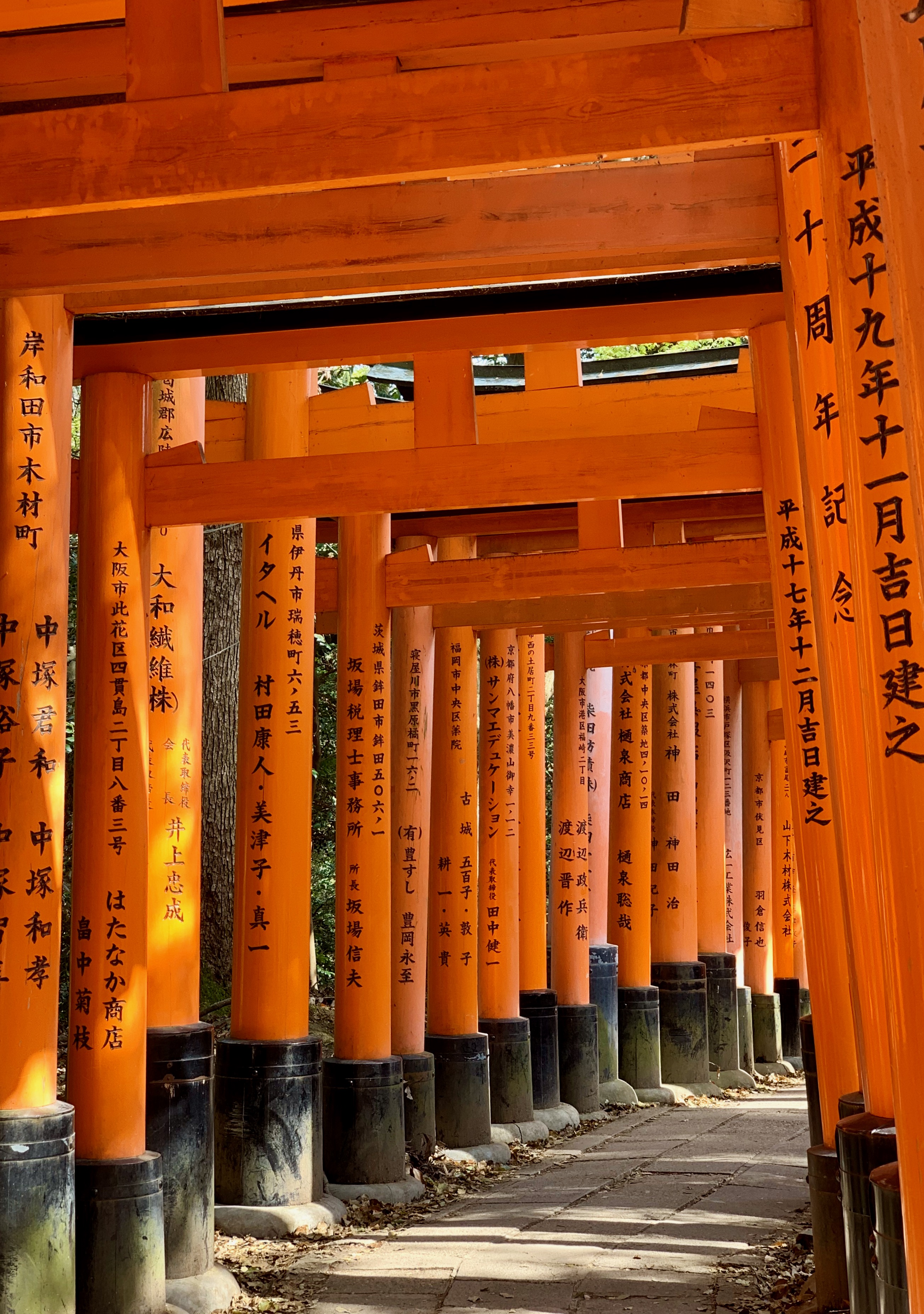 Kyoto & Confessions of a Geisha Stalker | Roaming Mom