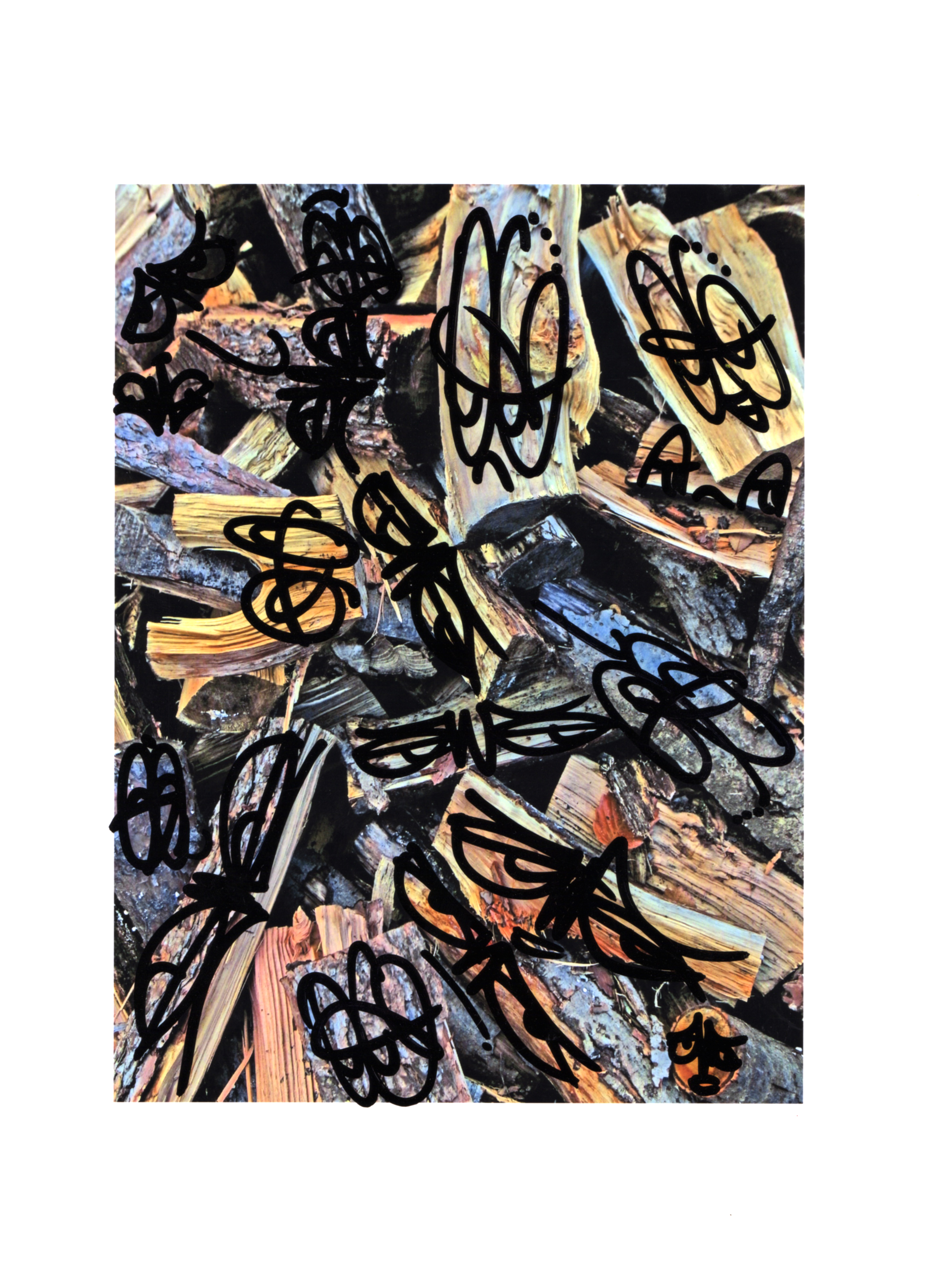 Shohei Fujimoto + Rob Kidney exhibition Where’s The Music?