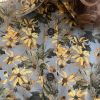 Rudbeckia