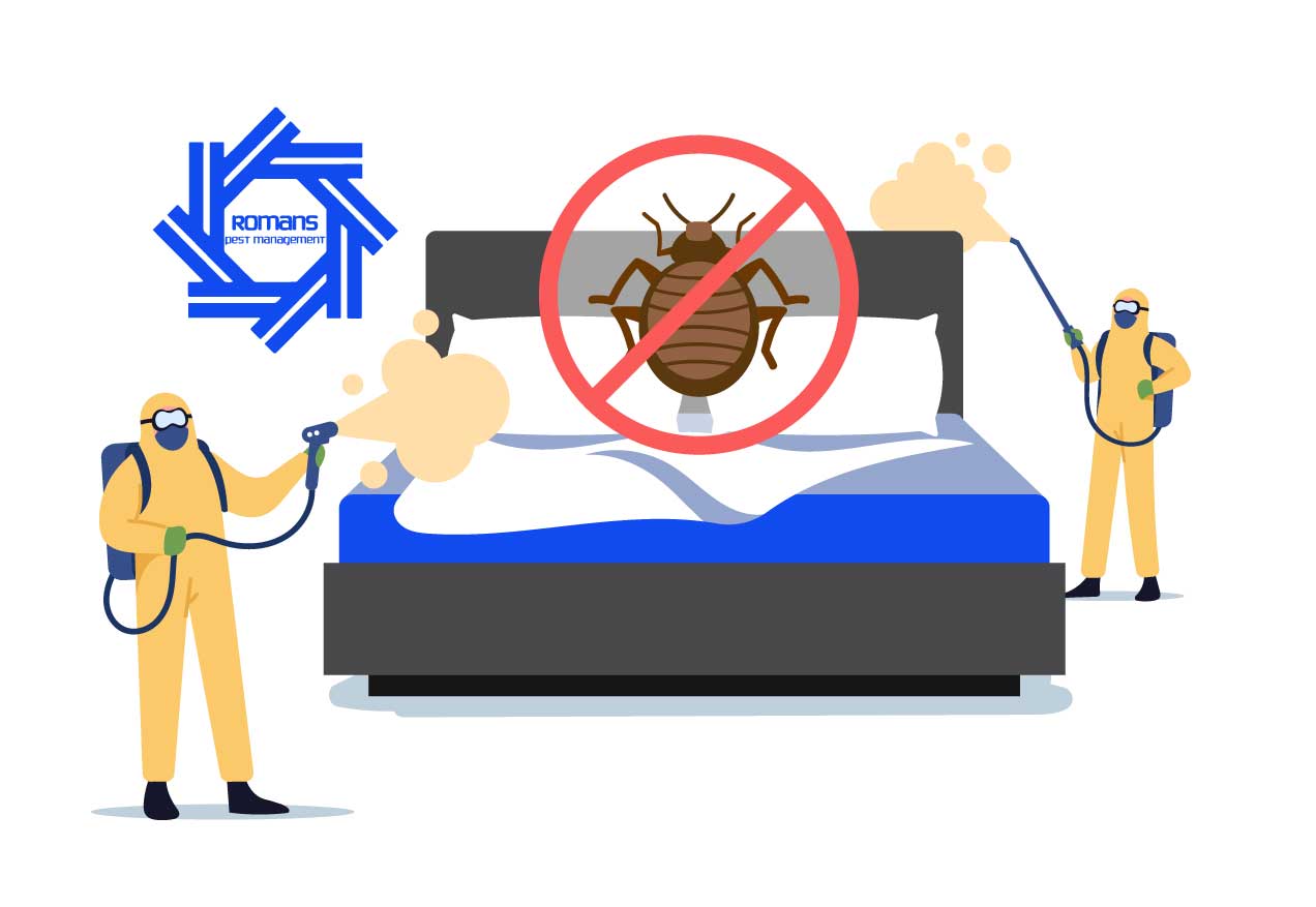 Have You Been Invaded By Bed Bugs?