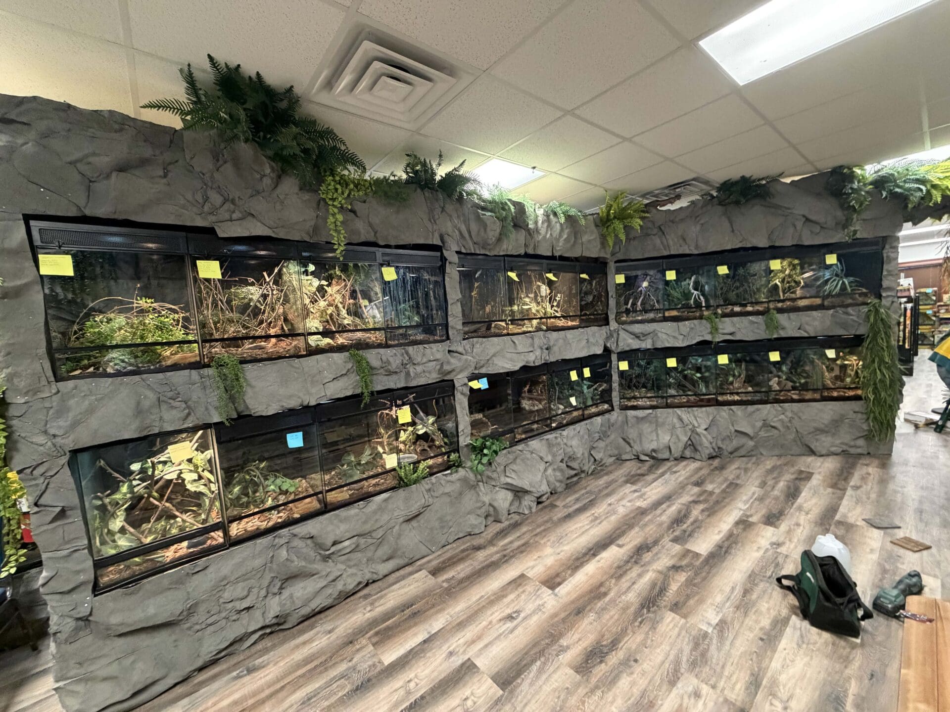 Reptile Adventure Zoo Opens This Week 16 ywAAAAAAQABAAACAUwAOw==