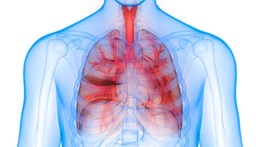 Our courses are approved by american . Rtevo