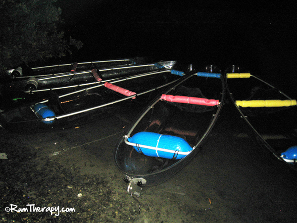 Sea thru kayaks vi has not added a description yet. Glass Bottom Kayaking In A Bioluminescent Bay Rum Therapy