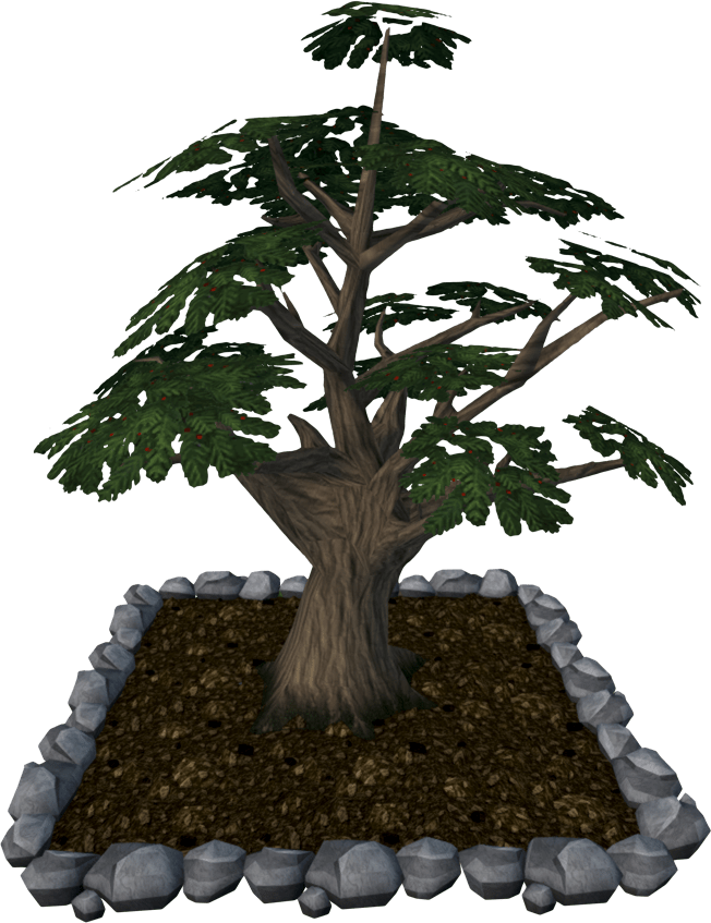 New users enjoy 60% off. Enchanted Tree The Runescape Wiki