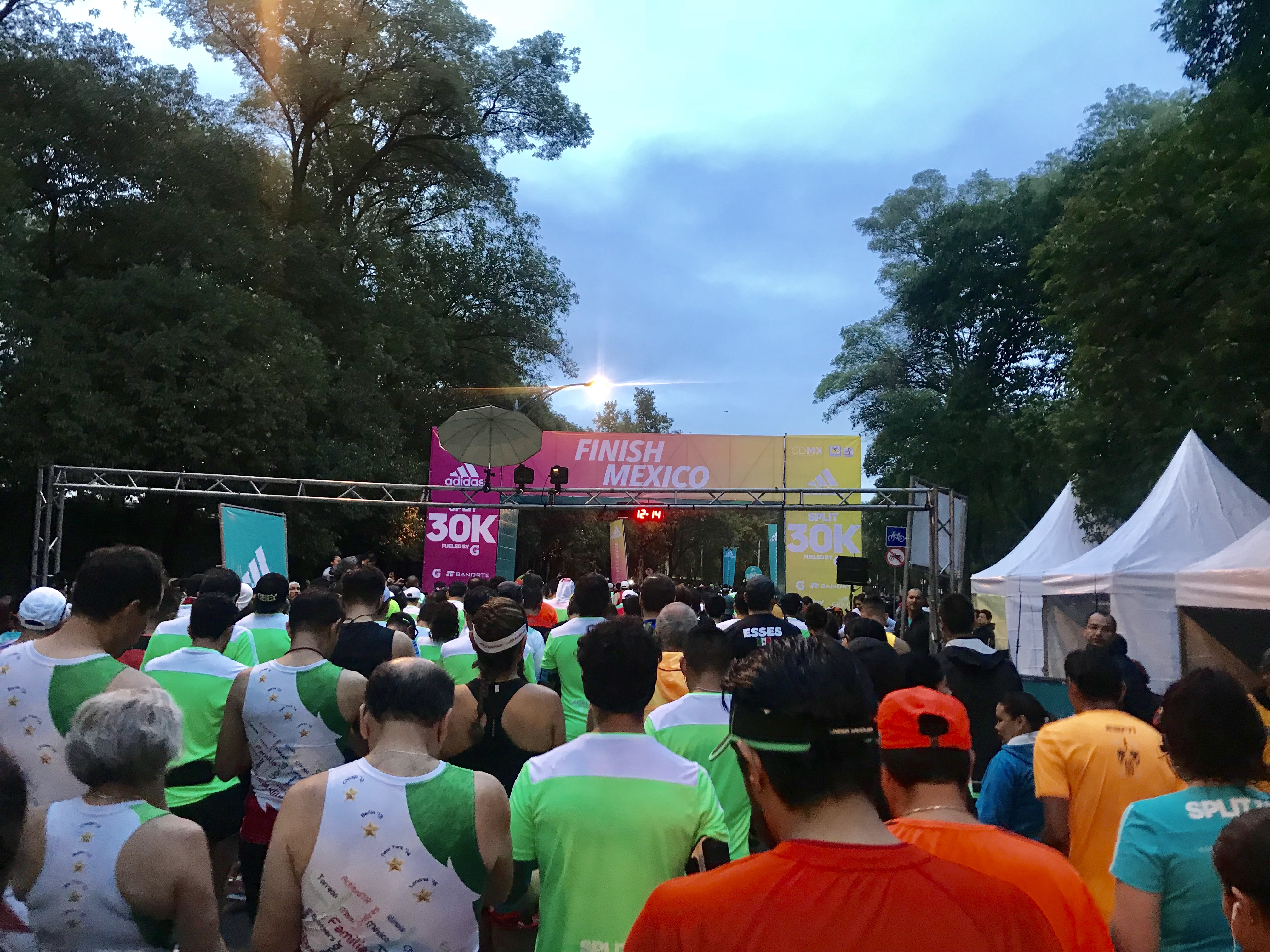 split adidas 12k 2019