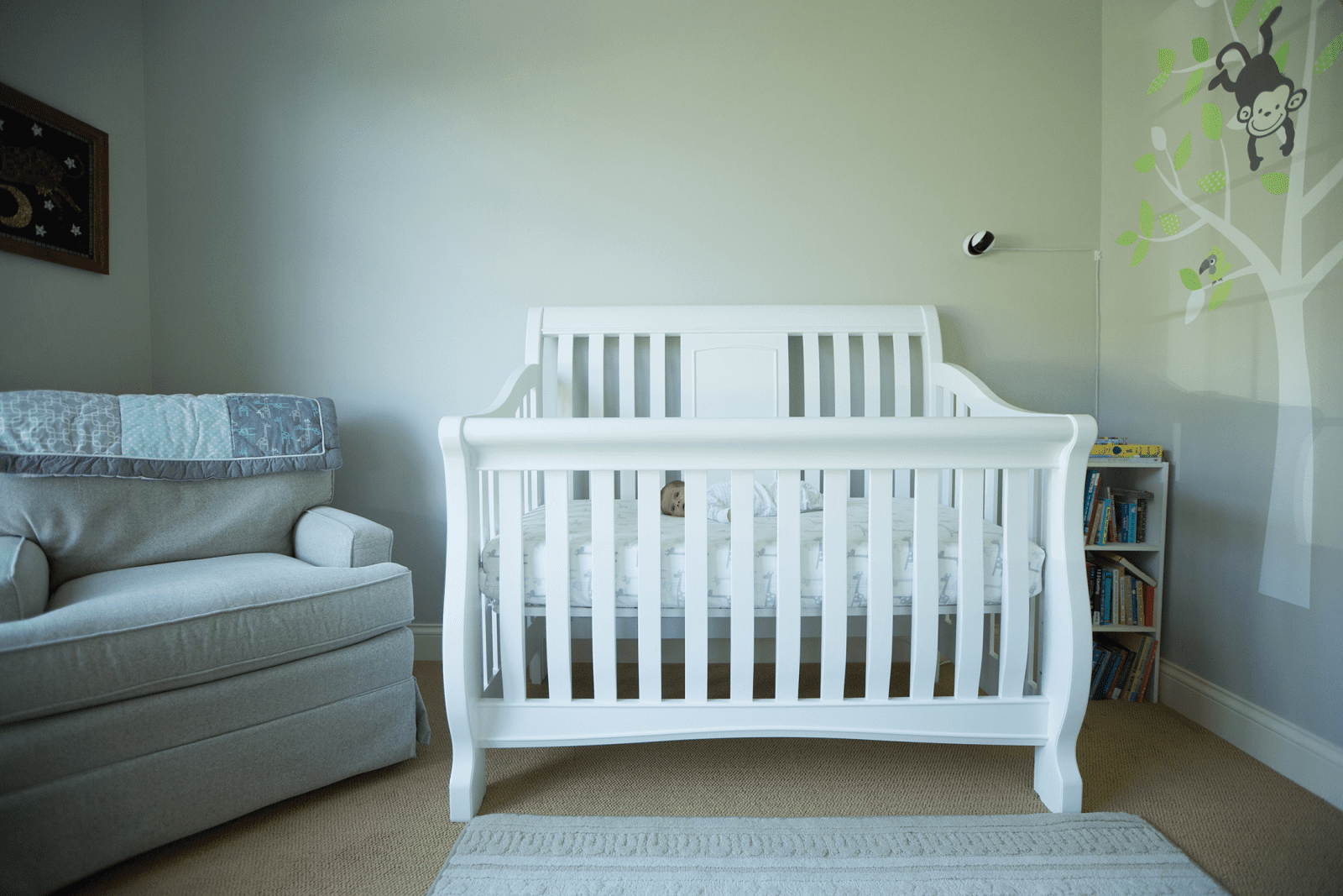 smartbeat baby monitor reviews