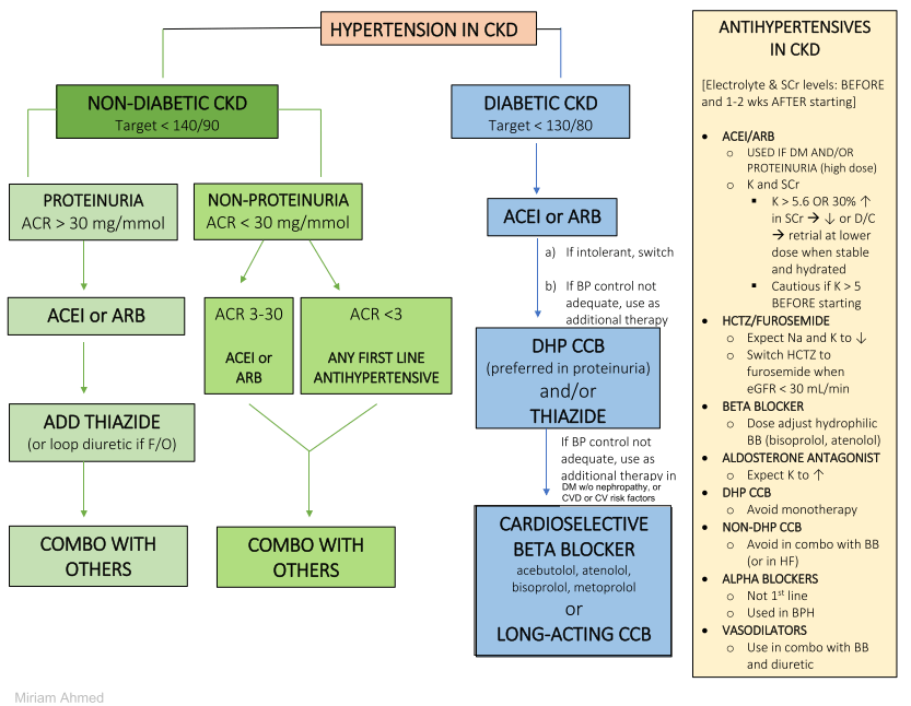 HYPERTENSION IN CKD RxNotes