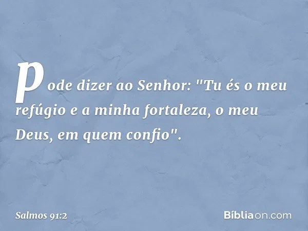 Salmo 91 2 Biblia
