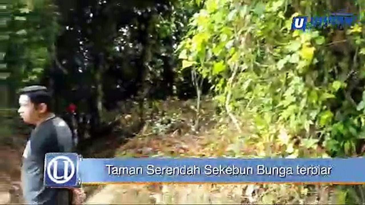 Taman serendah sekebun bunga ketereh. Taman Serendah Sekebun Bunga Tempat Permainan Puteri Saadong Perlu Perhatian Video Dailymotion