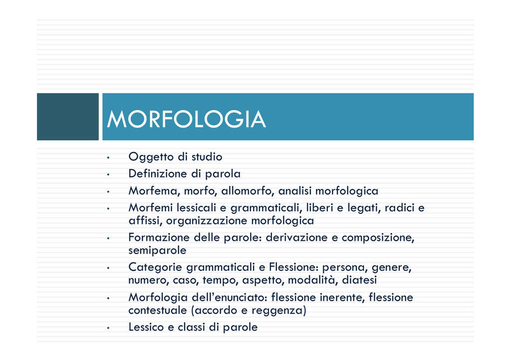 Morfologia - Wordpress.com 724_x_1024_png
