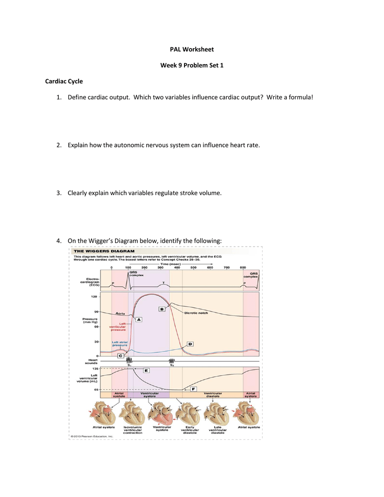 Master the anatomy of the heart first by using our diagrams, quizzes and worksheets of the heart . Pal Worksheet Week 9 Problem Set 1 Cardiac Cycle 1 Define