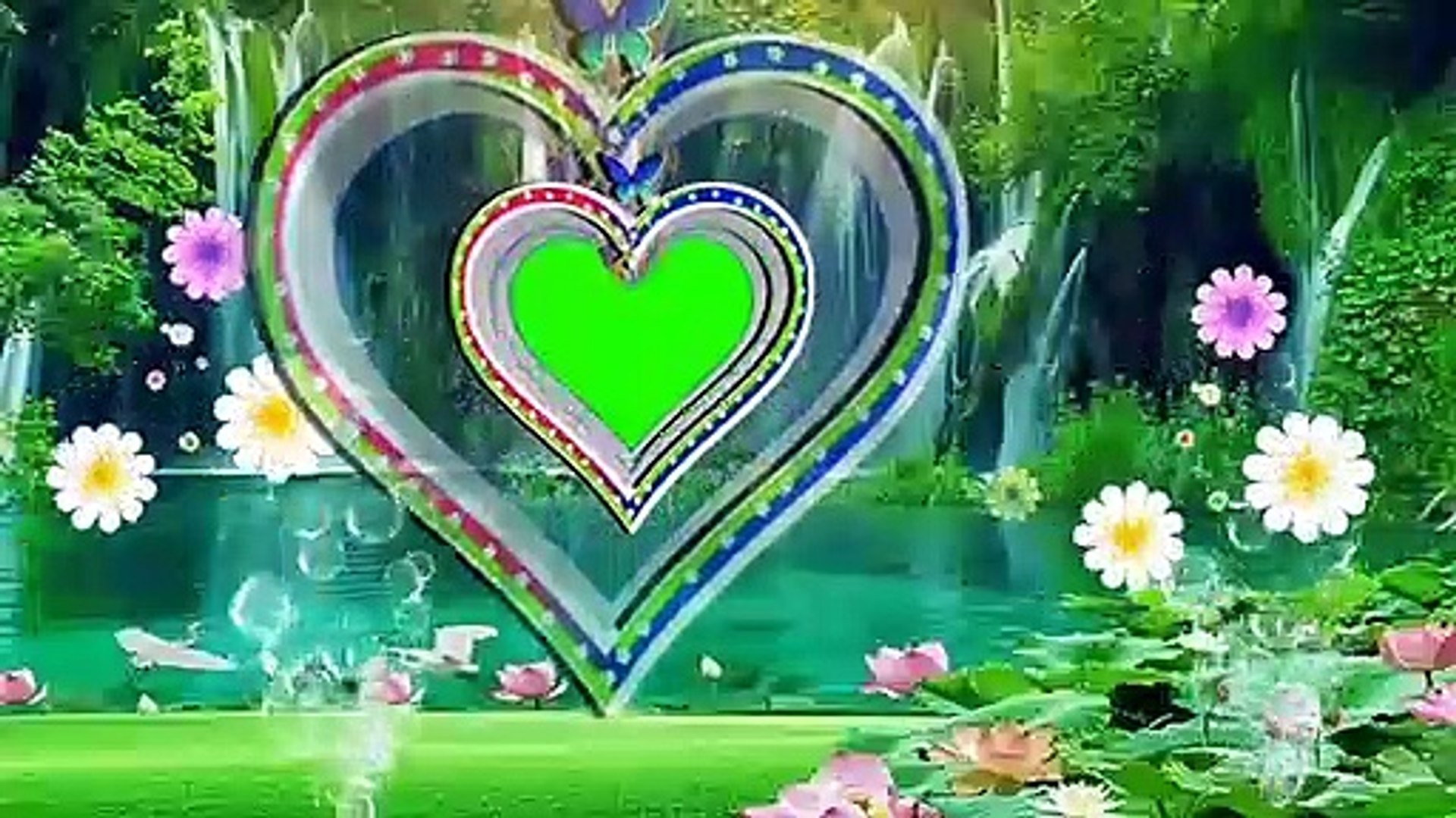 23894 best green background free video clip downloads from the videezy community. Wedding Green Background Screen Effect Hd Video Video Dailymotion