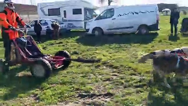 Jean lassalle a donc démarré aujourd'hui de son village des pyrénées avec son tracteur tondeuse. Les Chiens De Traineaux Ont Profite Du Sauternais Ce Week End Video Dailymotion