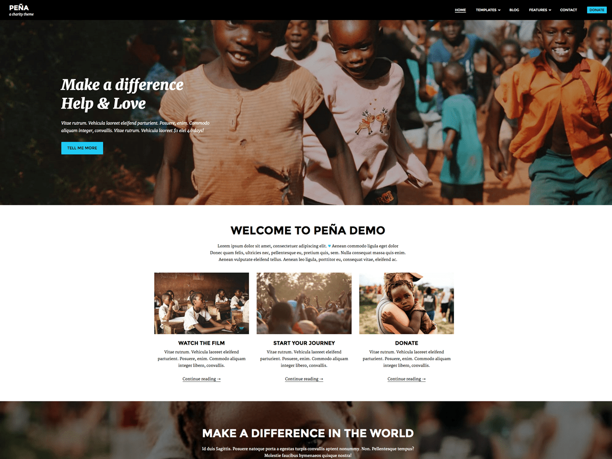 This theme has been inspired by “Living on One Dollar” documentary we watched one night. We were deeply touched and wanted to somehow contribute to the whole project. As theme developers we decided to develop a WordPress theme to help spread the word about it. Pena is modern, responsive and mobile friendly theme.