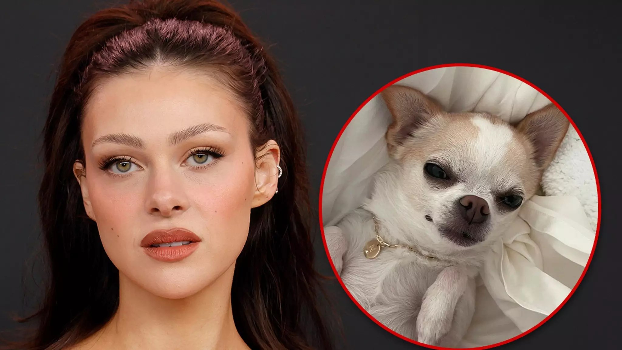 Nicola Peltz-Beckham Seeks Justice for Chihuahua’s Untimely Death