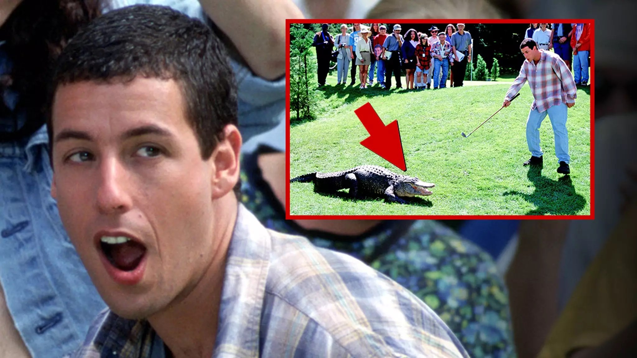 The Return of Morris: A Nostalgic Look at the Alligator from “Happy Gilmore”