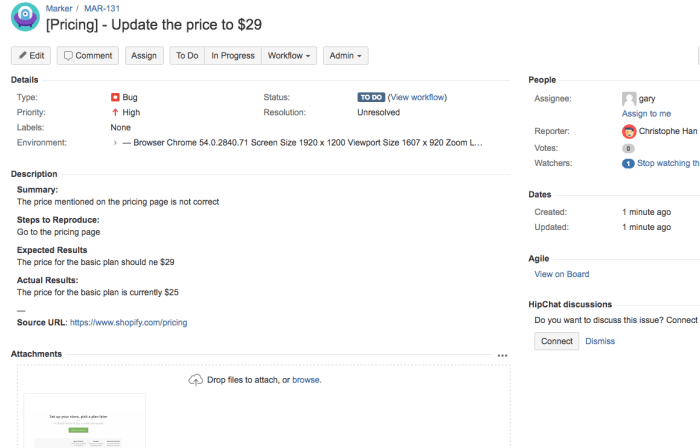Bug Report Template Jira