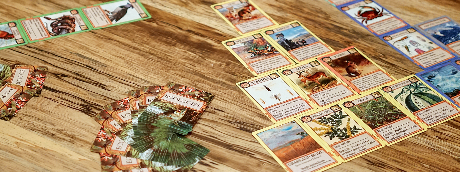 Each biome has a different ecology, and gives unique rewards when it is . Ecologies Card Games