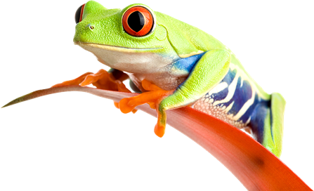 Digital audio players allow you to take your music with you wherever you go, and converting your less portable files to mp3 takes only a few easy steps. Ppt Sound Effects For Powerpoint Powerpoint Presentation Free To Download Id 2ac2c1 Zme2m