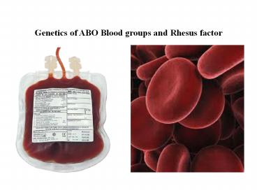 If you inherit the dominant rhesus d antigen from one or both of your . Ppt Genetics Of Abo Blood Groups And Rhesus Factor Powerpoint Presentation Free To Download Id 46e984 Odgxo