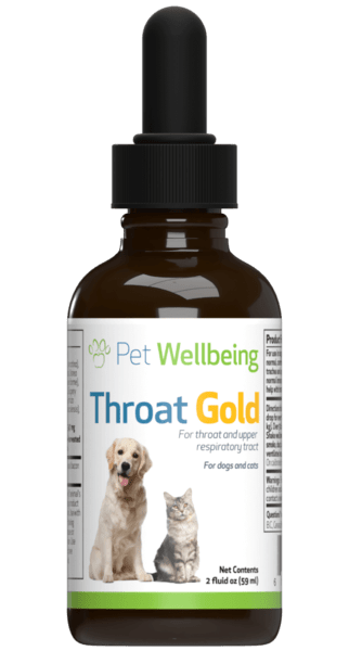 Kennel Cough Home Remedy Robitussin