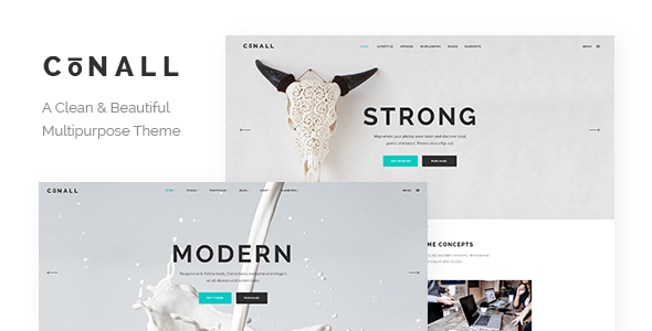 Berkas style.css pada tema wordpress ditulis dengan menggunakan perintah css. Conall Clean Multipurpose Theme By Edge Themes Themeforest