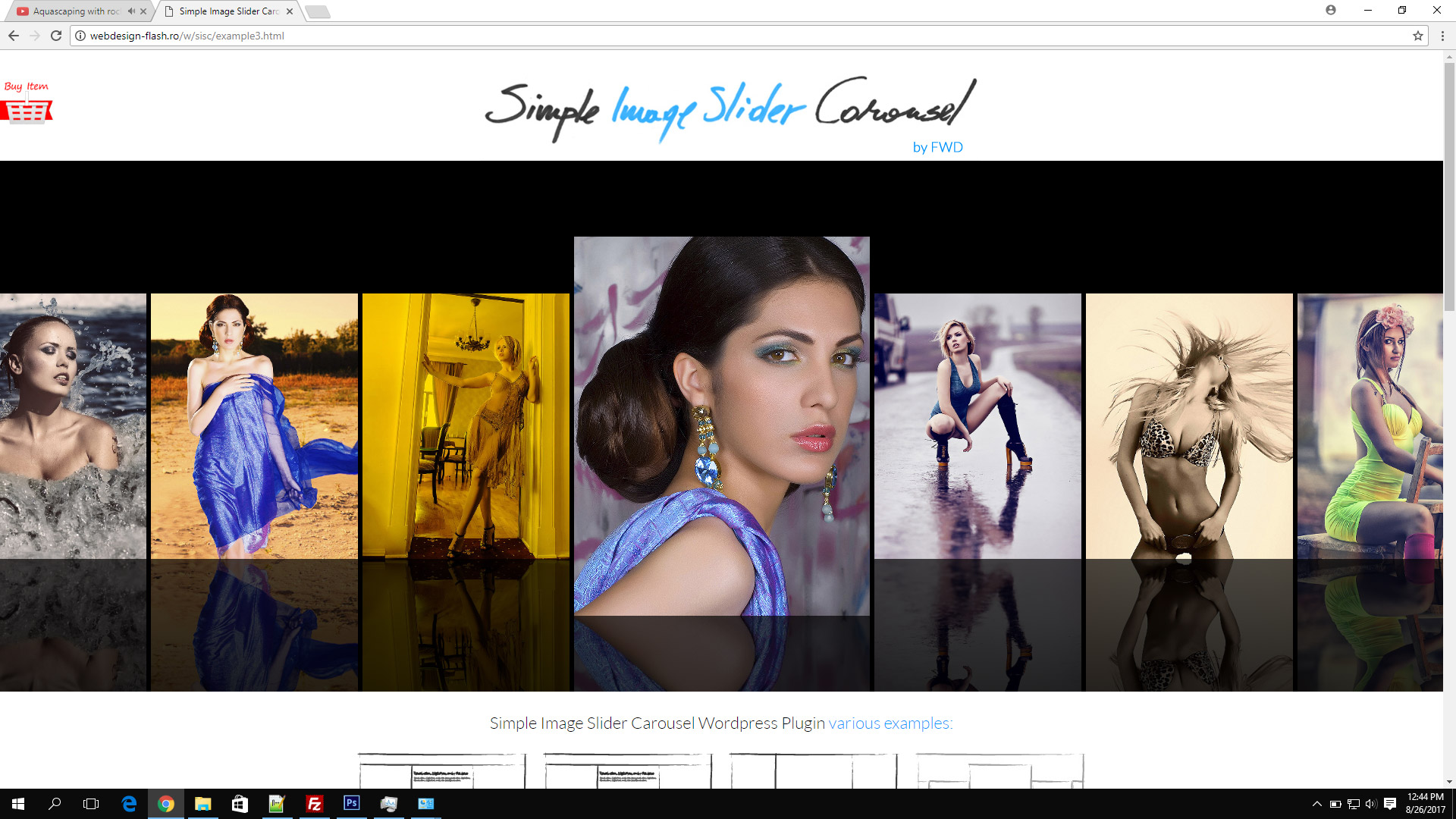 Wordpress plugin which generates a custom post type for choosing images and content. Simple Image Slider Carousel Wordpress Plugin by FWDesign | CodeCanyon