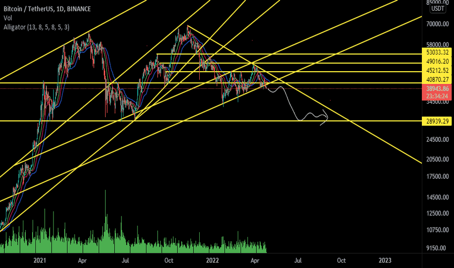 Super smooth and responsive graph ui to help zone in on the market trends . 1qncdfngnyno6m