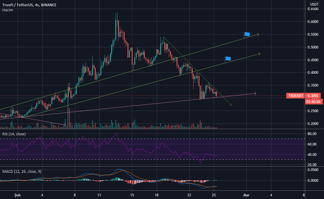 Ini memiliki persediaan yang beredar dari koin 0wemp dan persediaan maksimum sebesar 591 triliun. Tradeci tarafÄ±ndan BINANCE:TRUUSDT sembolÃ¼ iÃ§in TRU / USDT
