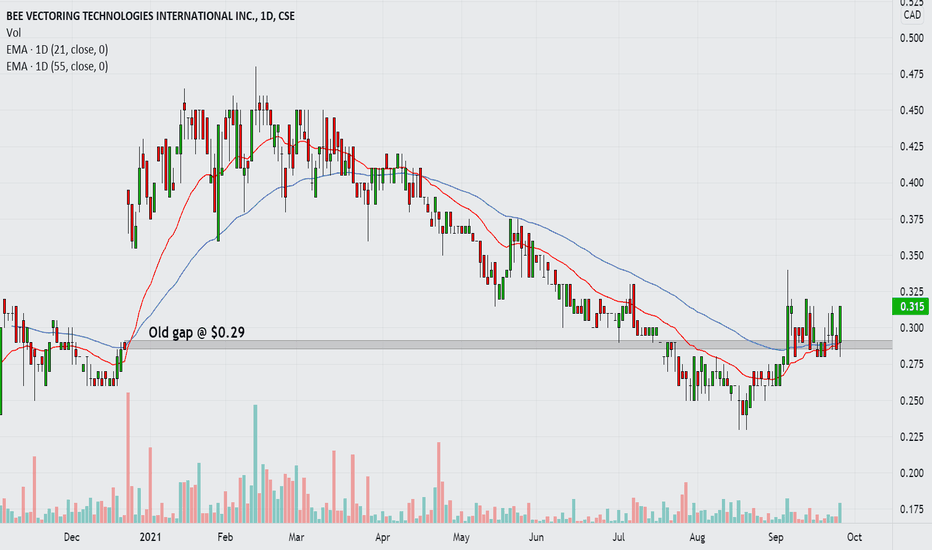 24 hour bee volume is unknown. Bee Stock Price And Chart Cse Bee Tradingview
