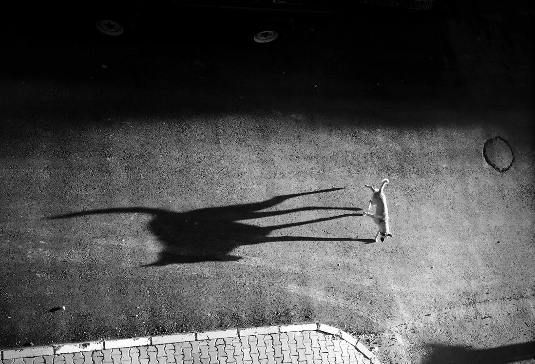 There was a time when a smartphone wasn’t ideal for these scenarios, but that time was 2017. Street Focus 04 Smartphone Street Photography With Elif Suyabatmaz This Week In Photo