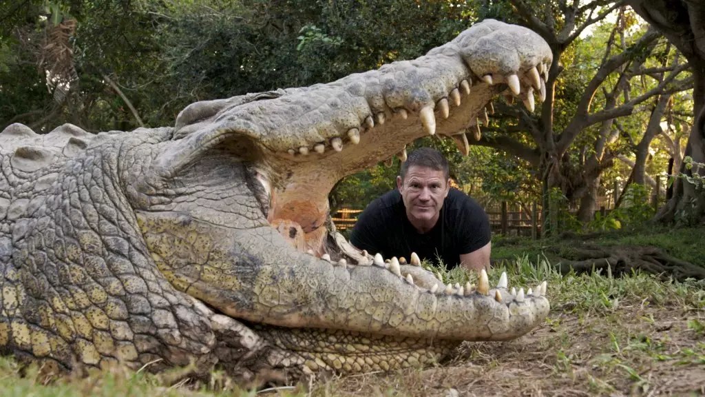 The Adventures of Steve Backshall: Croc Watch and Hippo Watch The Adventures of Steve Backshall: Croc Watch and Hippo Watch