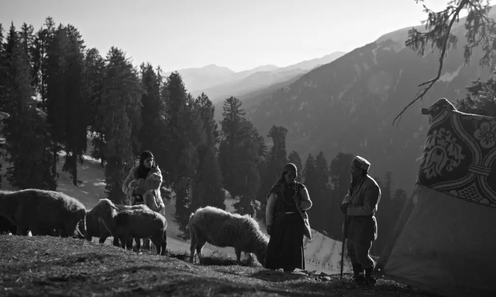 How a Debut Filmmaker Explores Healing and Nature in “Second Chance” How a Debut Filmmaker Explores Healing and Nature in “Second Chance”