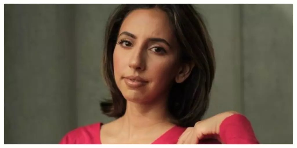 The Impact of Independent Film Productions on Diversity in the Entertainment Industry The Impact of Independent Film Productions on Diversity in the Entertainment Industry