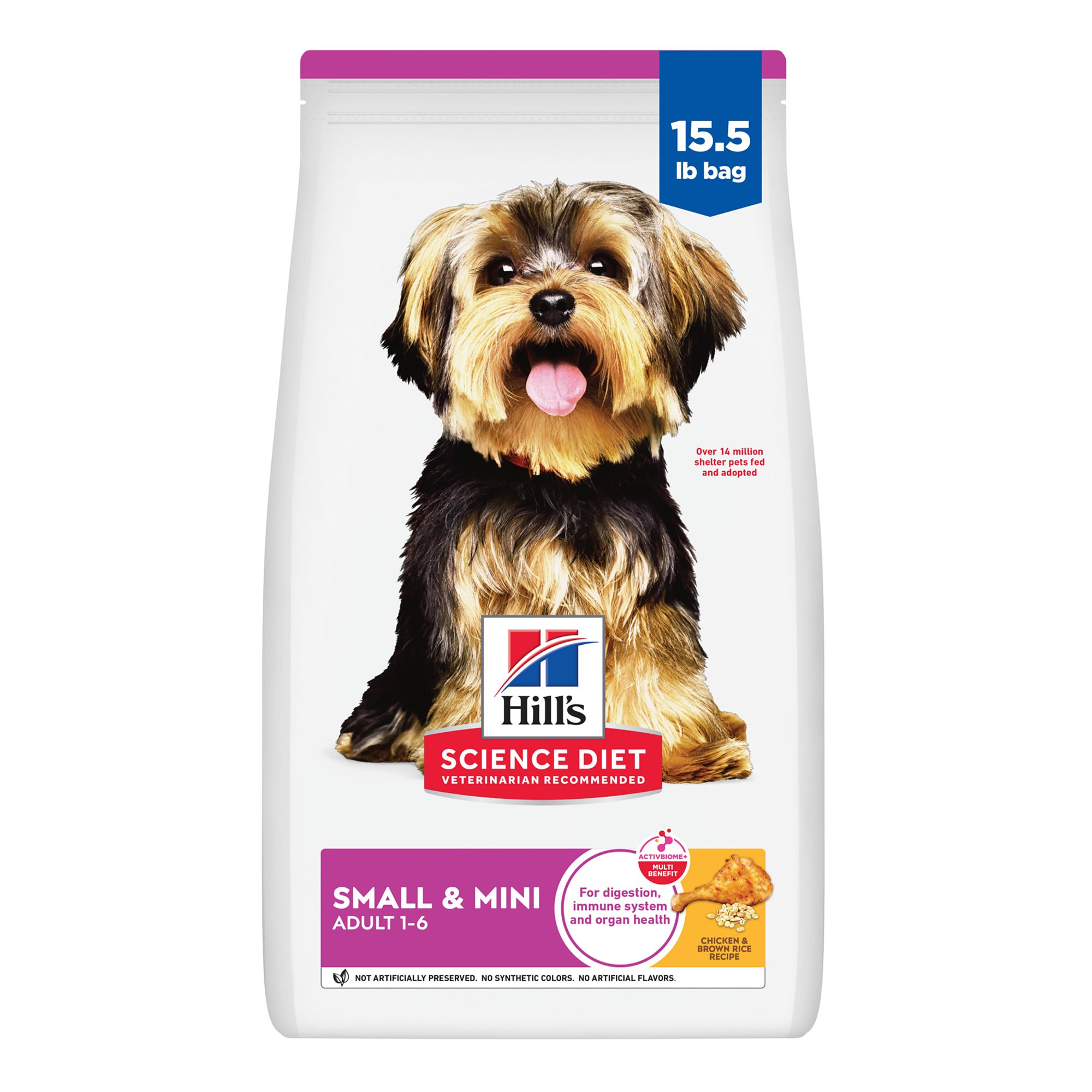 Healthy Hound Diet: Nourishing Your Canine Companion